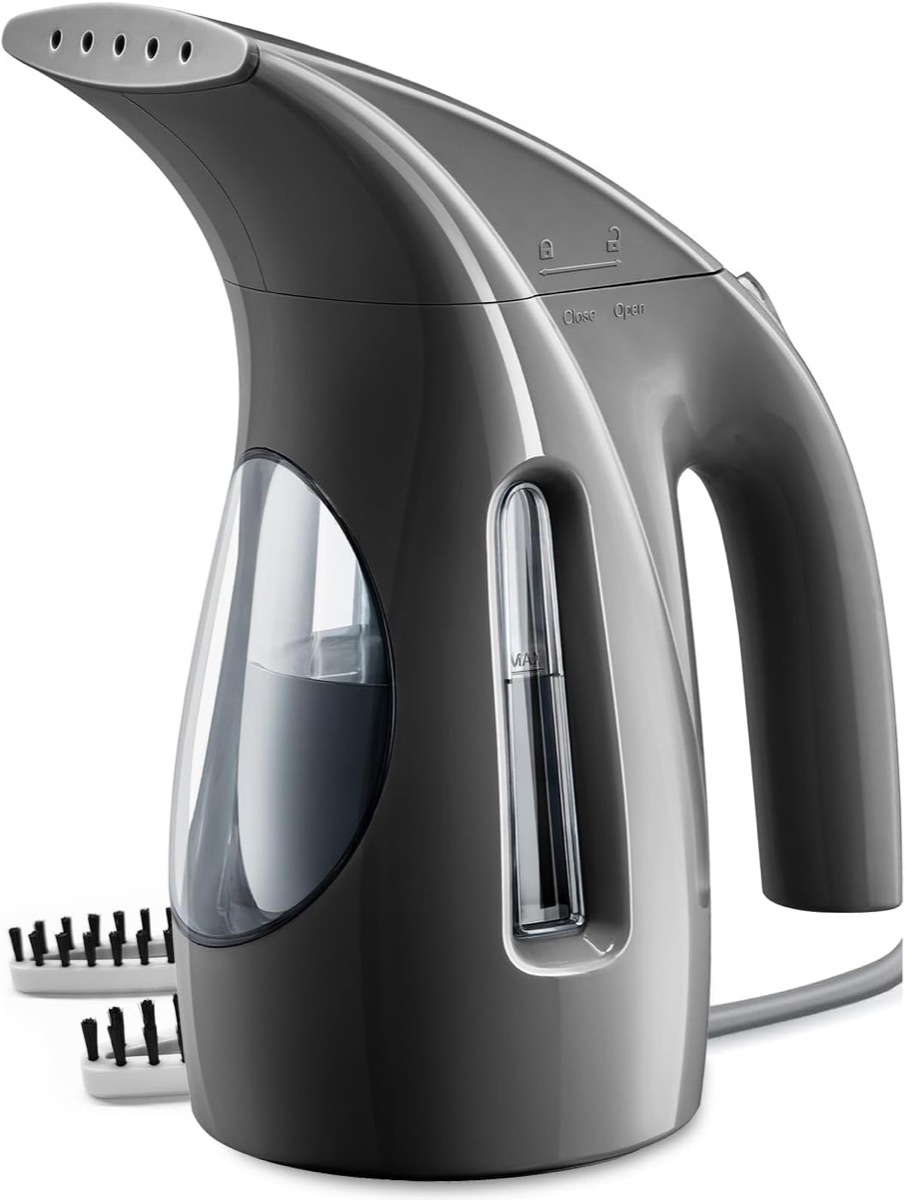 HiLIFE handheld garment steamer